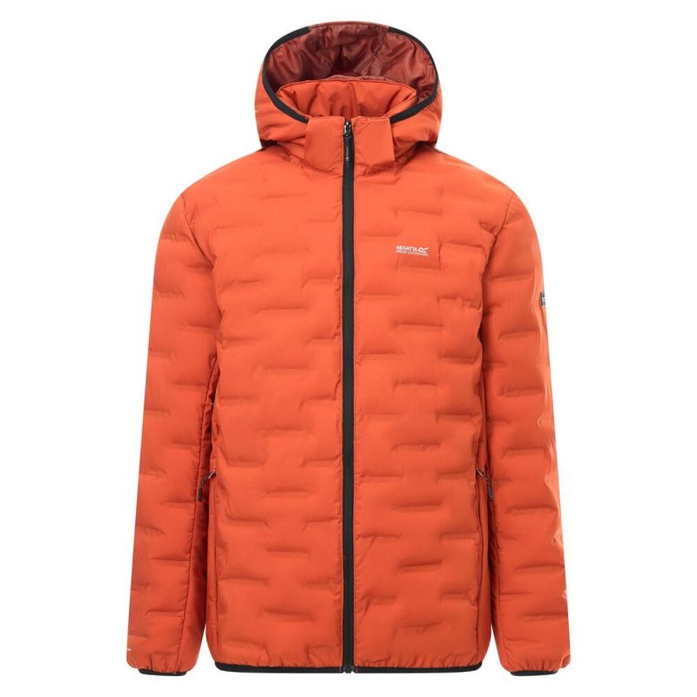Regatta Mens Astrel Padded Jacket / Rooibos Tea